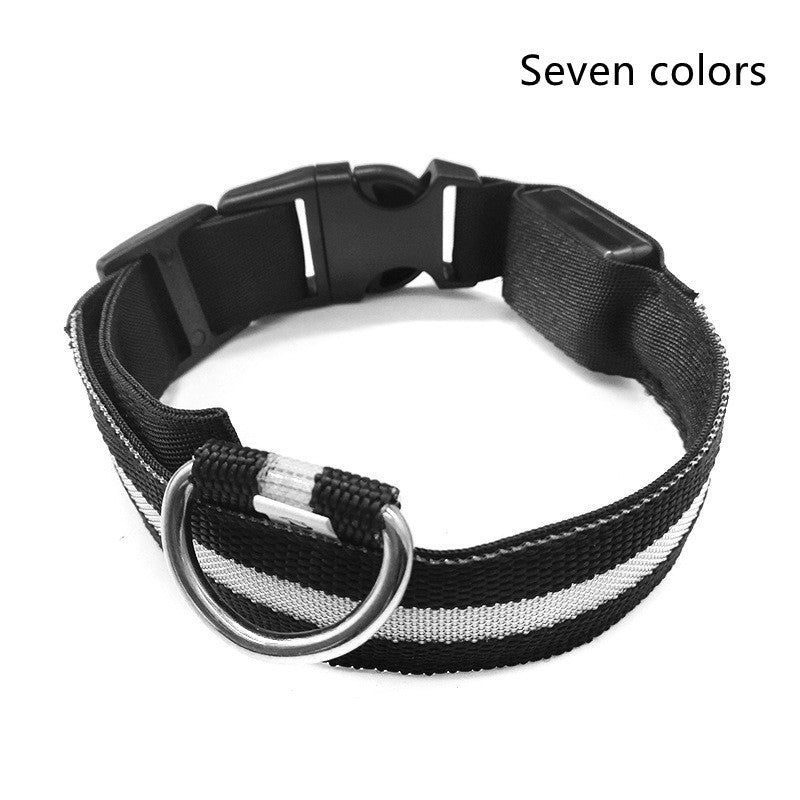 Bright LED Luminous Safety Pet Collar for Ultimate Nighttime Adventures! - Paws and Claws warehouse