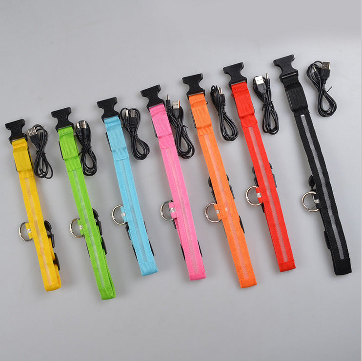 Bright LED Luminous Safety Pet Collar for Ultimate Nighttime Adventures! - Paws and Claws warehouse