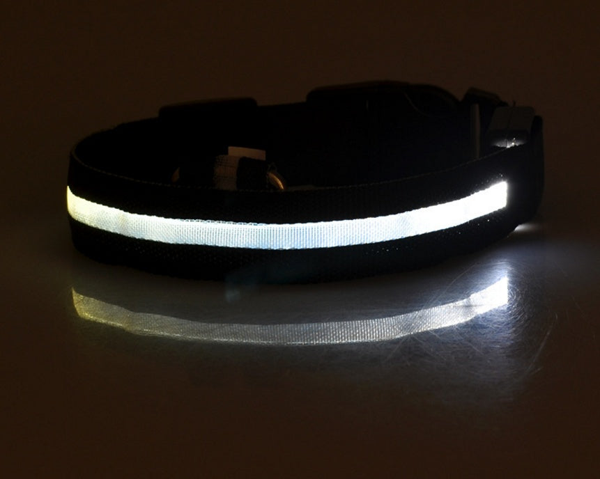 Bright LED Luminous Safety Pet Collar for Ultimate Nighttime Adventures! - Paws and Claws warehouse