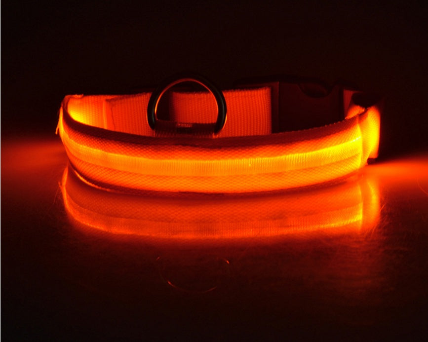 Bright LED Luminous Safety Pet Collar for Ultimate Nighttime Adventures! - Paws and Claws warehouse