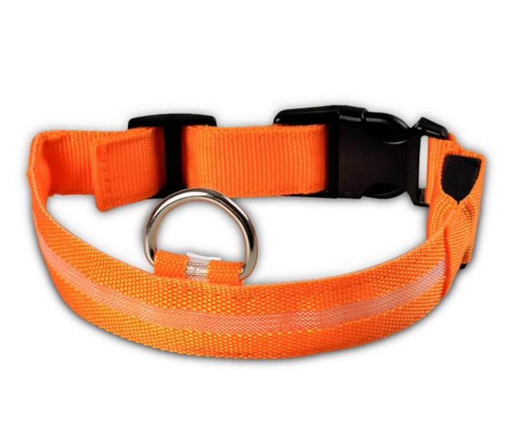 Bright LED Luminous Safety Pet Collar for Ultimate Nighttime Adventures! - Paws and Claws warehouse
