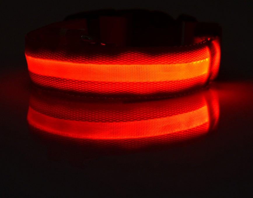 Bright LED Luminous Safety Pet Collar for Ultimate Nighttime Adventures! - Paws and Claws warehouse