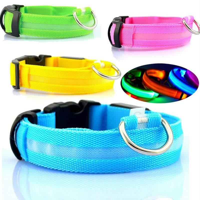Bright LED Luminous Safety Pet Collar for Ultimate Nighttime Adventures! - Paws and Claws warehouse