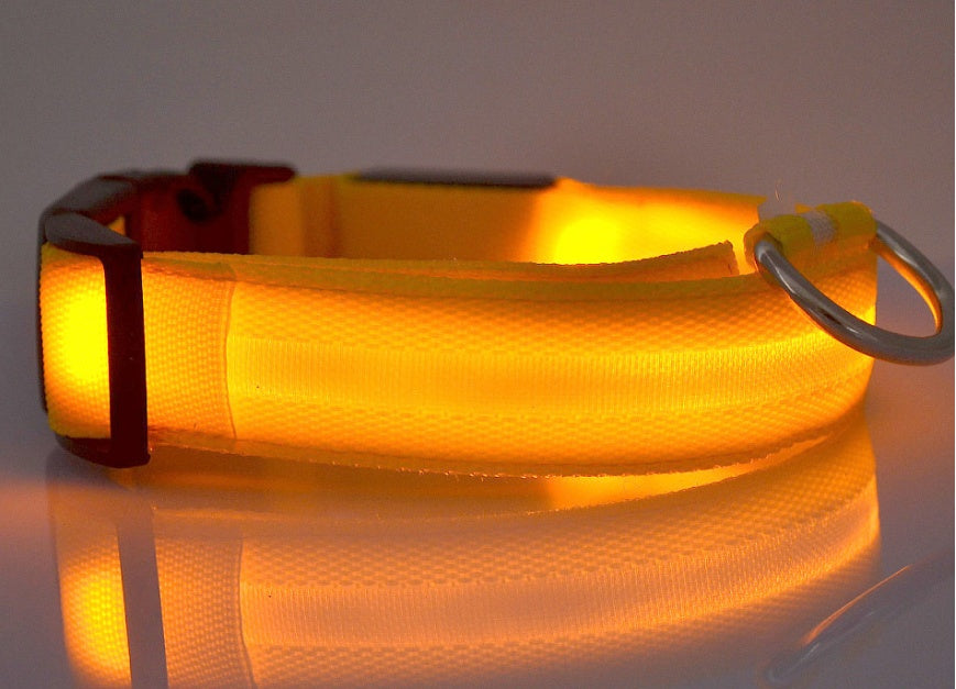 Bright LED Luminous Safety Pet Collar for Ultimate Nighttime Adventures! - Paws and Claws warehouse