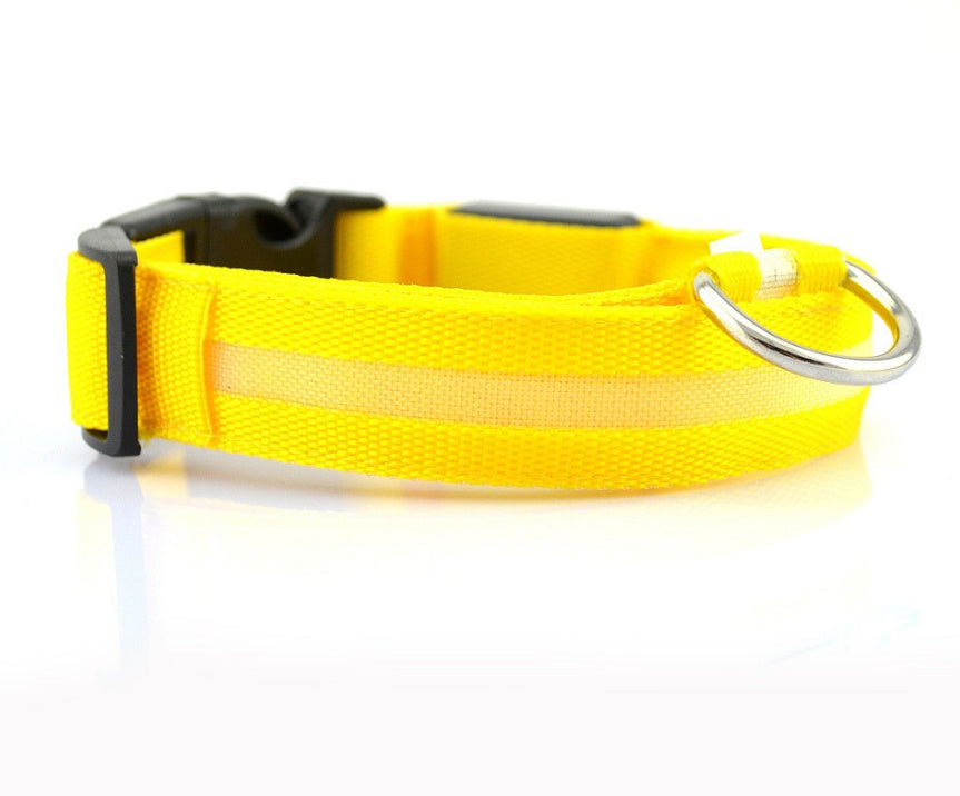 Bright LED Luminous Safety Pet Collar for Ultimate Nighttime Adventures! - Paws and Claws warehouse