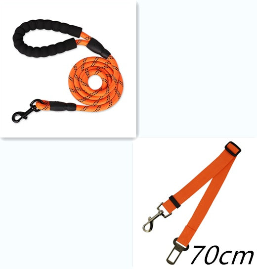 Stay Safe & Stylish with the Reflective Nylon Dog Leash! - Paws and Claws warehouse