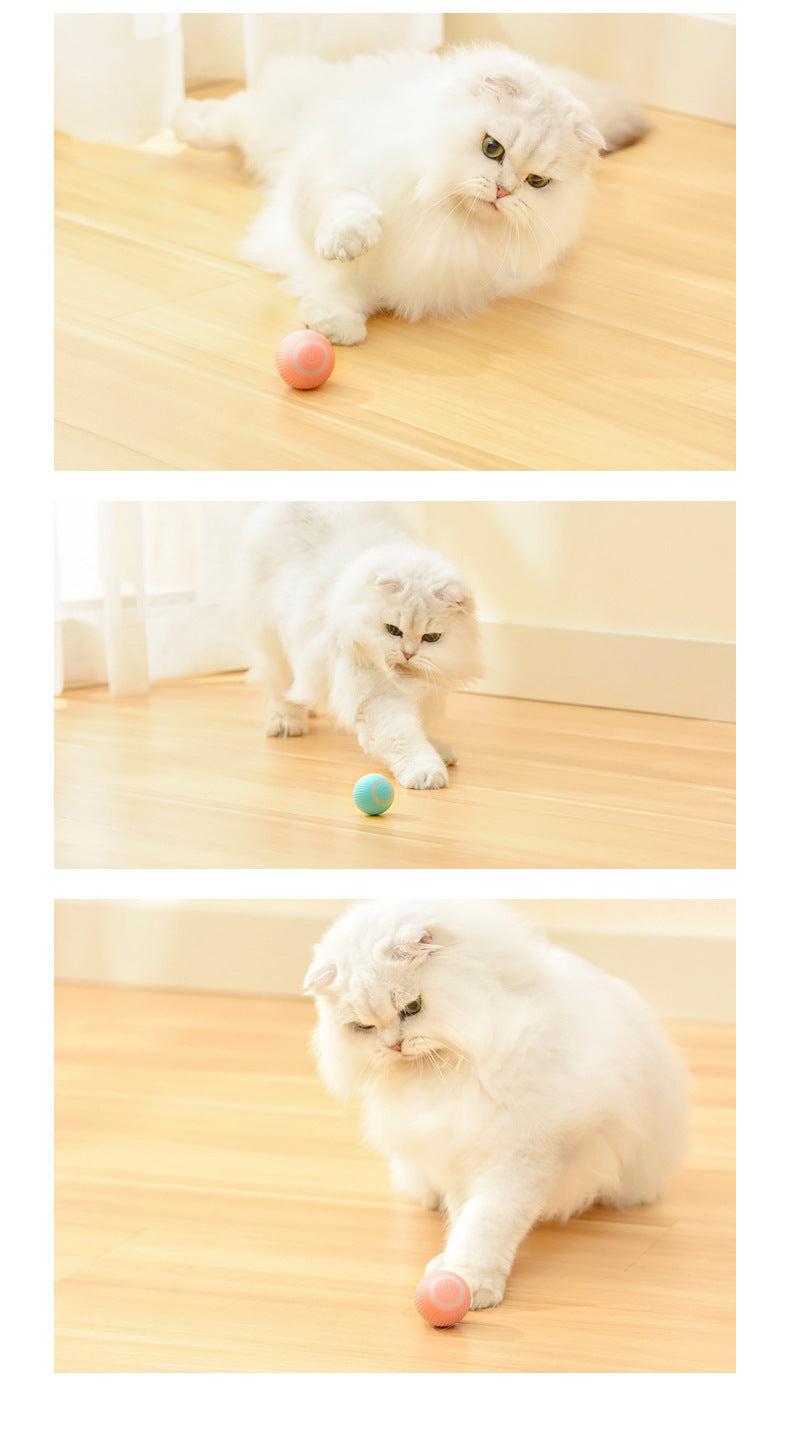 Unleash Your Cat's Inner Hunter with Smart Rolling Ball! - Paws and Claws warehouse