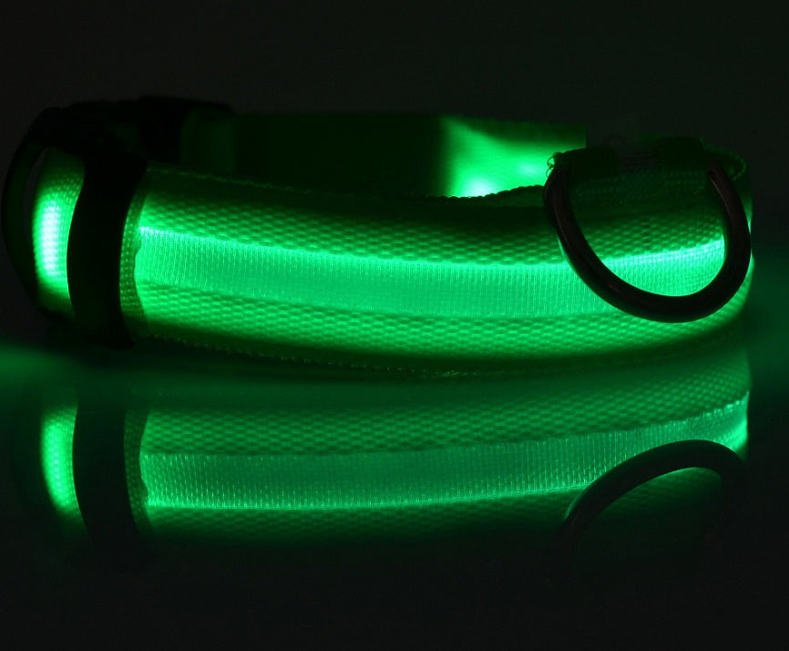 Bright LED Luminous Safety Pet Collar for Ultimate Nighttime Adventures! - Paws and Claws warehouse