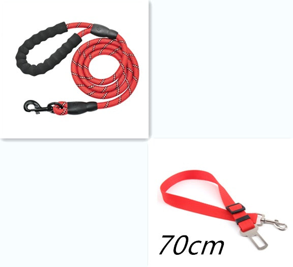 Stay Safe & Stylish with the Reflective Nylon Dog Leash! - Paws and Claws warehouse