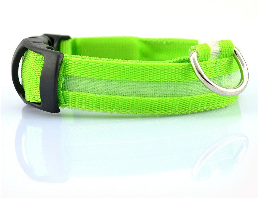 Bright LED Luminous Safety Pet Collar for Ultimate Nighttime Adventures! - Paws and Claws warehouse