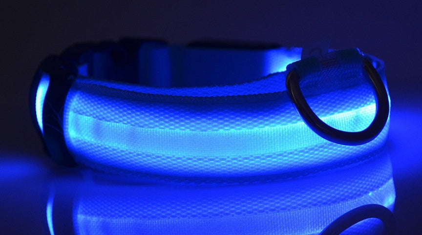 Bright LED Luminous Safety Pet Collar for Ultimate Nighttime Adventures! - Paws and Claws warehouse